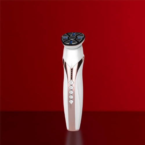 RF EMS Skin Renewal Device