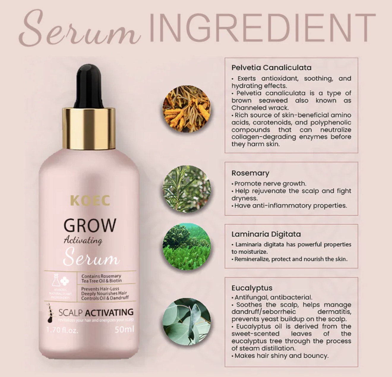KOEC Grow Activating Serum – Scalp Activating Hair Growth Serum (50ml) - Image 4