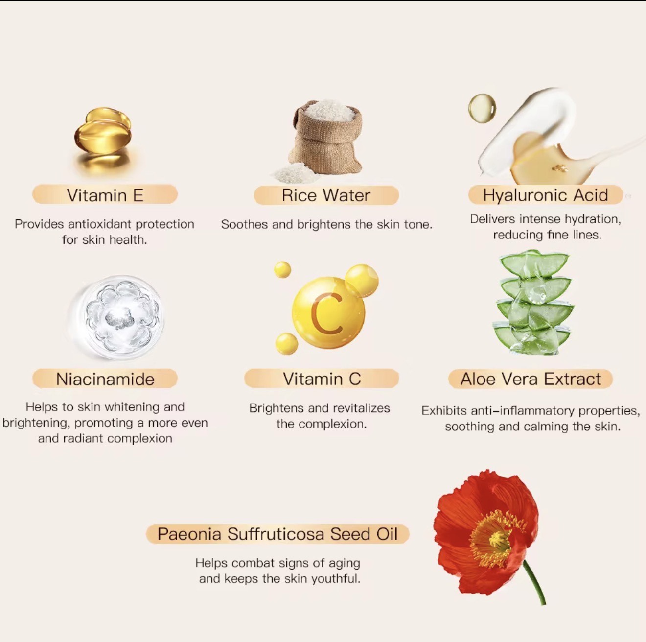 Korean Skin Care-OJENSY 4-Step Natural Skincare Set - Image 2