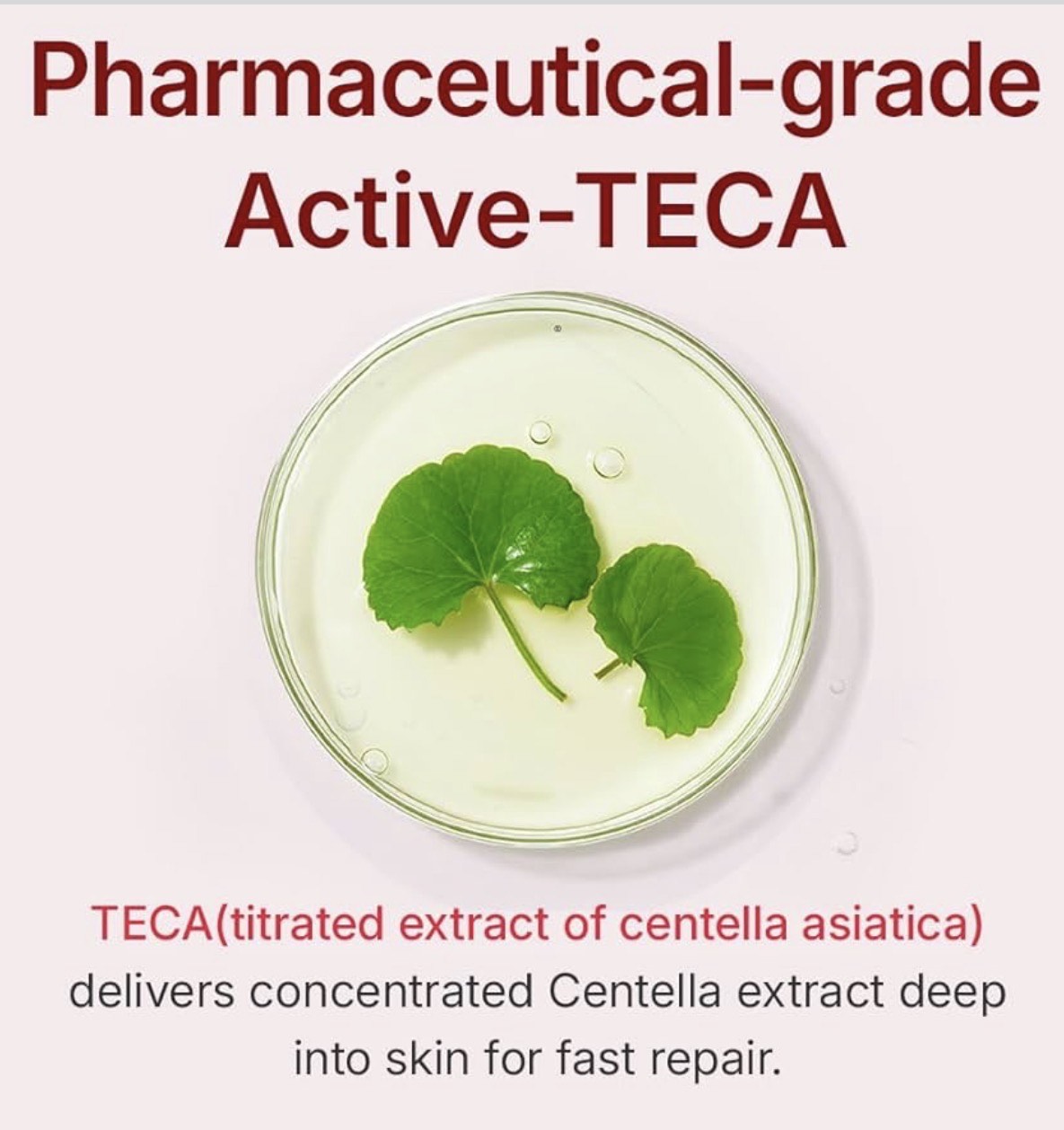 Korean Skincare Madeca Cream – Time Reverse Dermatological Heritage Since 1968 (50ml) - Image 5